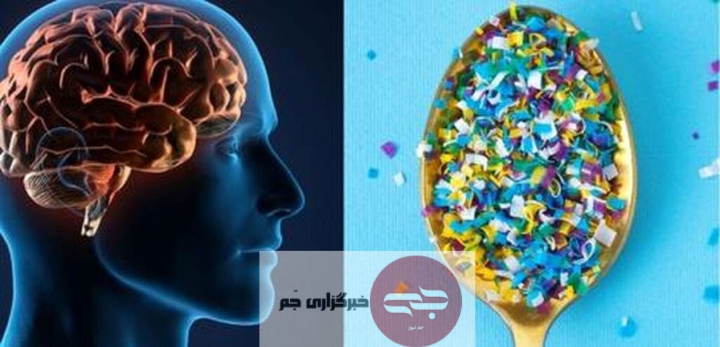 مغز ریزپلاستیک جم نیوز